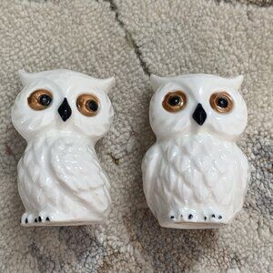 Vintage Fine Bone China Owl Salt & Pepper Shakers - MCM Big Eye Owls - Textured